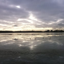 Kralingse Plas