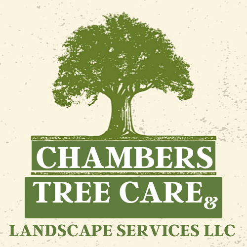 Chambers Tree Care & Landscape Services - tree service in Milwaukee, WI