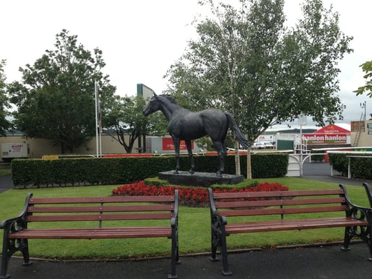 The Curragh Racecourse by null