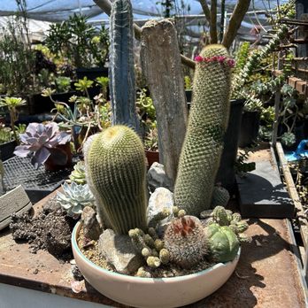 Aeonian Verde Nursery - Nurseries & Gardening Near Me - Bell Gardens, California