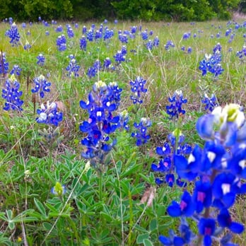 Lake Bryan - Rafting/Kayaking Near Me - Bryan, Texas Lake Bryan - Rafting/Kayaking Near Me - Bryan, Texas