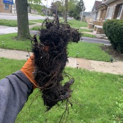 Ace Drain and Sewer Experts