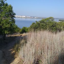Marion Sampson Park