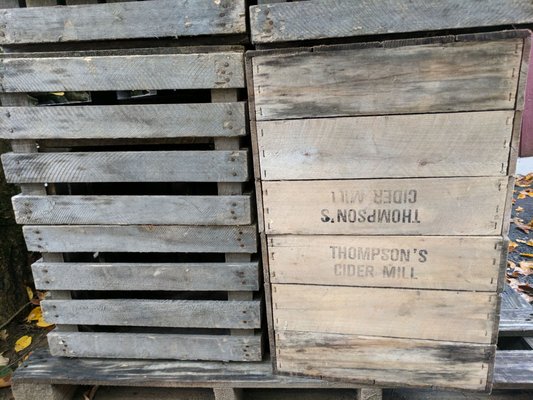 Thompson's Cider Mill and Orchard by null