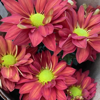 Needler's Fresh Market - Grocery Near Me - Indianapolis, Indiana