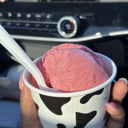 Raspberry sorbet