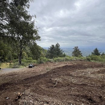 Josue Tree service - After: cleared brush, removed poison oak, and more. - Tree Services Near Me Josue Tree service - After: cleared brush, removed poison oak, and more. - Tree Services Near Me