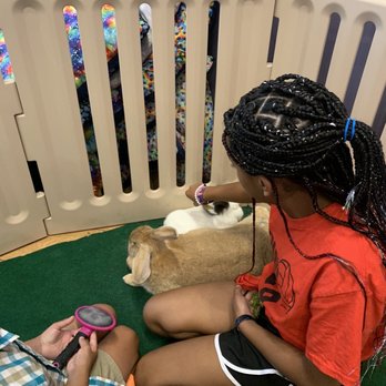 Cuddle Bunny - Pet Boarding Near Me - Chicago, Illinois