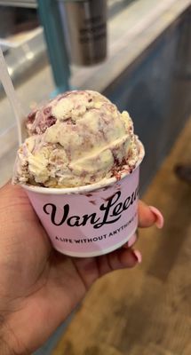 Van Leeuwen Ice Cream by null
