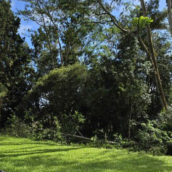 Aloha Aina Tree Service - Tree Services Near Me - Keaau, Hawaii
