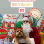Photo of City Tails NYC
