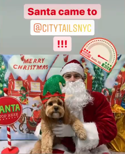 City Tails NYC - pet boarding facility in New York, NY