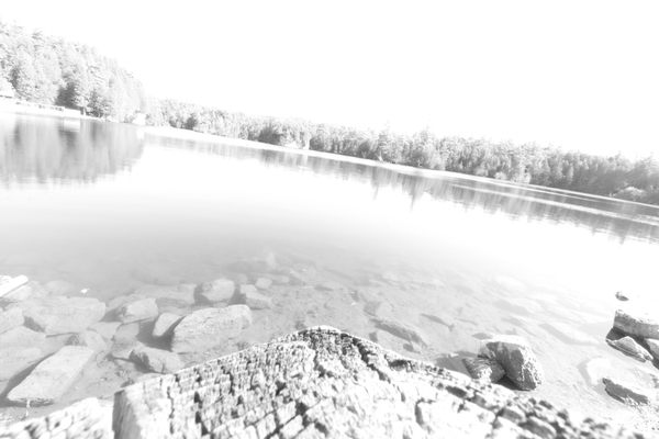 Rockwood Conservation Area by null