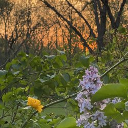 Gather At Red Cedar Gardens