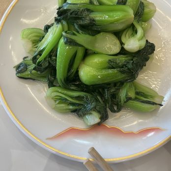 Wu' s Shanghai Dumpling - Bok Choy 6 - Shanghainese Near Me - Edison, New Jersey Wu' s Shanghai Dumpling - Bok Choy 6 - Shanghainese Near Me - Edison, New Jersey