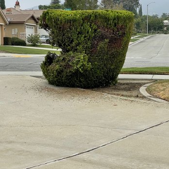 Athena's Movers - Movers Near Me - Redlands, California Athena's Movers - Movers Near Me - Redlands, California