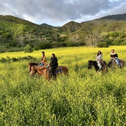 Cable Canyon Trail Rides