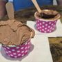 Photo of Dolce Gelato