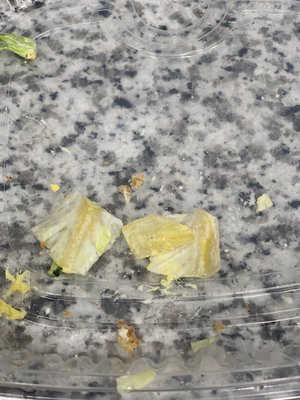 Blatt Beer & Table by null