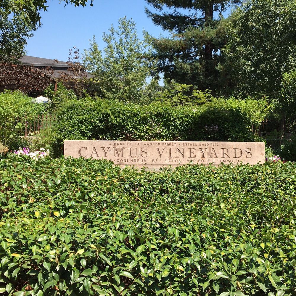 Caymus Vineyards - Wineries Near Me - Rutherford, California