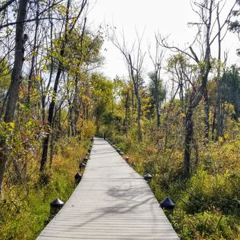 Theodore Roosevelt Island - Boardwalk - Parks Near Me Theodore Roosevelt Island - Boardwalk - Parks Near Me
