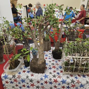 Evergreen State Fair - Jade plants - Local Flavor Near Me - Monroe, Washington Evergreen State Fair - Jade plants - Local Flavor Near Me - Monroe, Washington