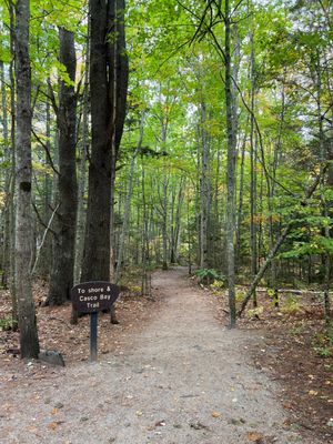 Wolfe's Neck Woods State Park by null