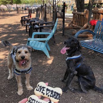 The Shacks - Dog Parks Near Me - The Colony, Texas The Shacks - Dog Parks Near Me - The Colony, Texas
