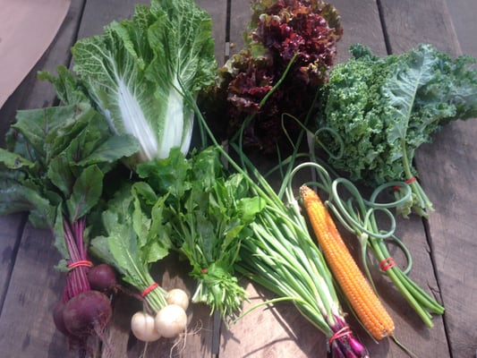 Brookfield Farm by null