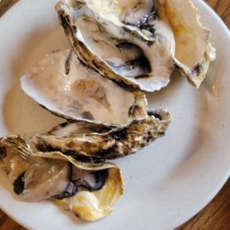 Oysters