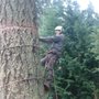 Photo of Fir Sure Arbor Pro