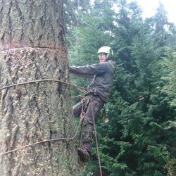 Fir Sure Arbor Pro