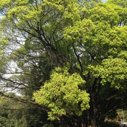 Parque Lagoa Do Nado