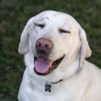 Counterpoint - Bailey approves this message. - Bars Near Me - San Diego, California Counterpoint - Bailey approves this message. - Bars Near Me - San Diego, California