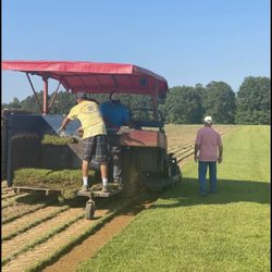 Mississippi Grass Farms