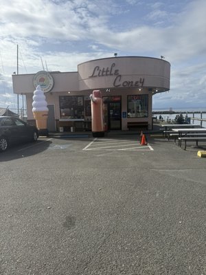 Little Coney by null