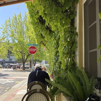 Barefoot Cafe - Bars Near Me - Fairfax, California