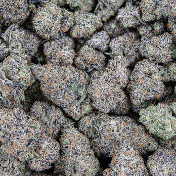 Theory Wellness - Waterville - Theory Wellness Flower - Cannabis Dispensaries Near Me - Waterville, Maine Theory Wellness - Waterville - Theory Wellness Flower - Cannabis Dispensaries Near Me - Waterville, Maine