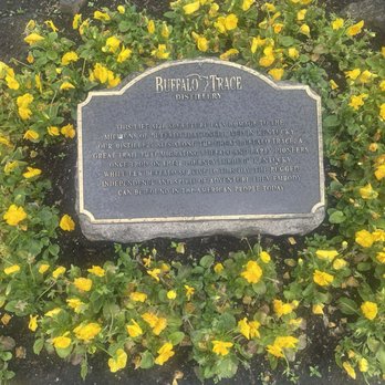 Buffalo Trace Distillery - Distilleries Near Me - Frankfort, Kentucky Buffalo Trace Distillery - Distilleries Near Me - Frankfort, Kentucky