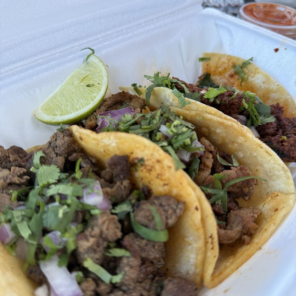 Tacos El Patrón - Mexican Near Me - Wesley Chapel , Florida Tacos El Patrón - Mexican Near Me - Wesley Chapel , Florida