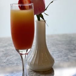 Morning Glory - Sunrise Mimosa