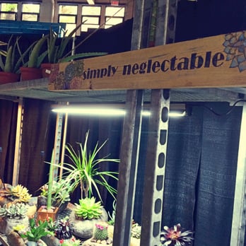 Make It! - Simply Neglectable Succulent Stand - Arts & Crafts Near Me - Vancouver, British Columbia Make It! - Simply Neglectable Succulent Stand - Arts & Crafts Near Me - Vancouver, British Columbia