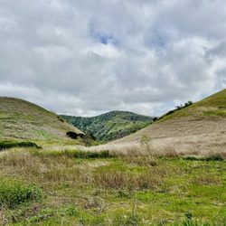 Glider Point - Lush green after rainy season