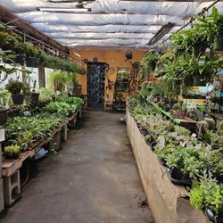 Hewitt's - Guilderland - Indoor plan section