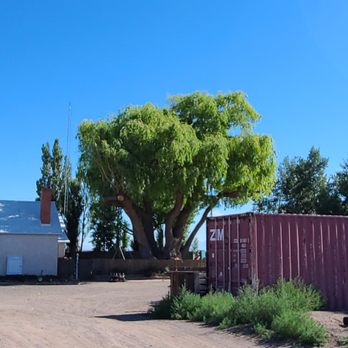 Reynolds Tree Service - Tree Services Near Me - Monte Vista, Colorado