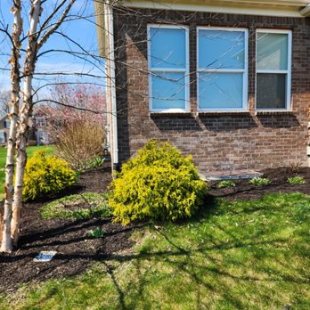 Apex Outdoor Contractors - Pressure Washers Near Me Apex Outdoor Contractors - Pressure Washers Near Me
