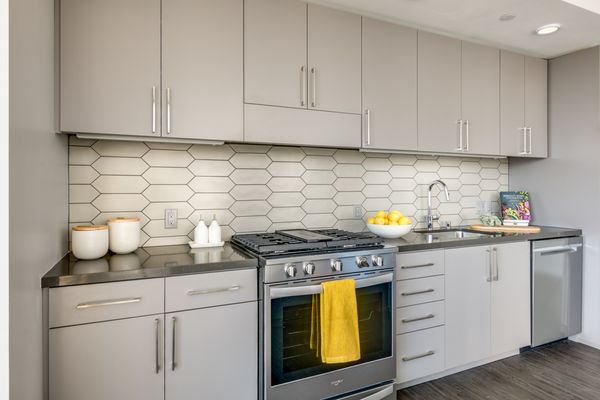 1717 Webster by null