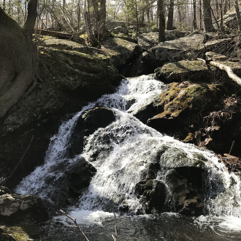 Schunemunk Mountain State Park - Different terrain on the trail - April 2018 - Hiking Near Me - New Windsor, New York Schunemunk Mountain State Park - Different terrain on the trail - April 2018 - Hiking Near Me - New Windsor, New York