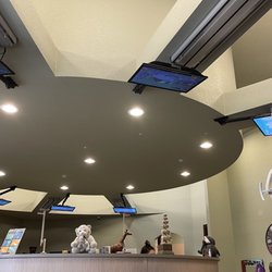 Bridget McAnthony, DDS - Six beds with tv screens above each one to make the kiddos more at ease.  Jungle theme with many wild animals.