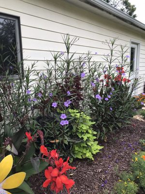 Strawberry Hill Farms by null